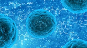 Cercetătorii au descoperit un nou virus periculos. Se transmite de la om la om și provoacă febră hemoragică